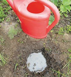 Чтобы удобрение быстрее растворилось, добавляют воду