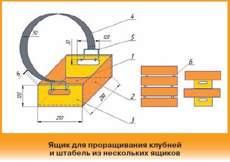 Ящик для проращивание клубней картошки