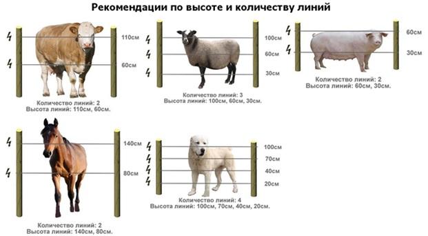 Электропастух на 1 Га 2-х рядный для овец, свиней, коз, КРС и других животных