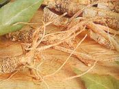 farmakologiya-i-narodnaya-medicina-ne-sovmestimy