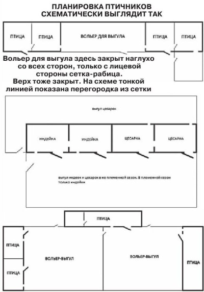 Планировка птичников