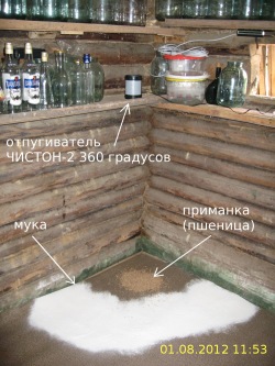 Наш испытательный полигон: отпугиватель ЧИСТОН-2 360 градусов, мука, приманка