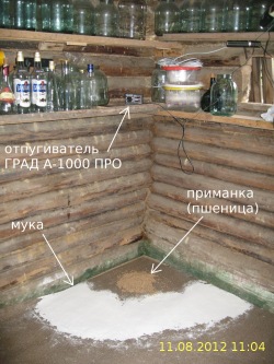 Наш испытательный полигон: отпугиватель ГРАД А-1000 ПРО, мука, приманка