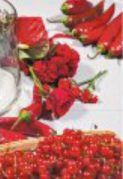 kak-sozdat-osobennyj-buket-nepohozhij-na-te-chto-prodautsya-v-magazinah