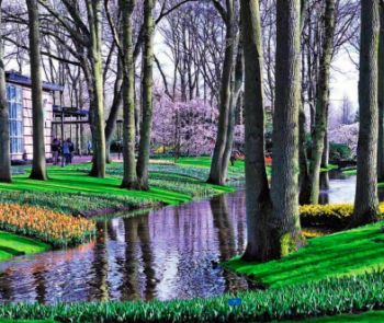 kekenhof-ogromnaya-vystavka-gollandskih-tulpanov-v-parke