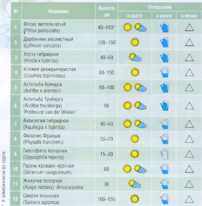 kompozicii-iz-cvetov kompozicii-iz-cvetov