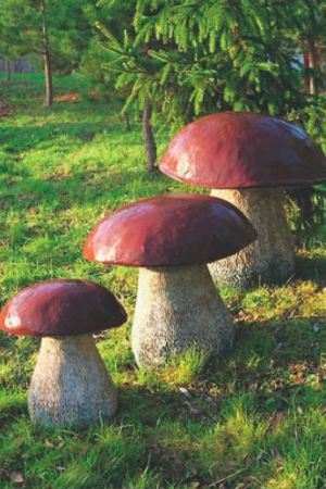 krasota-vokrug-gazona