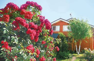Таким наш садик можно увидеть с улицы