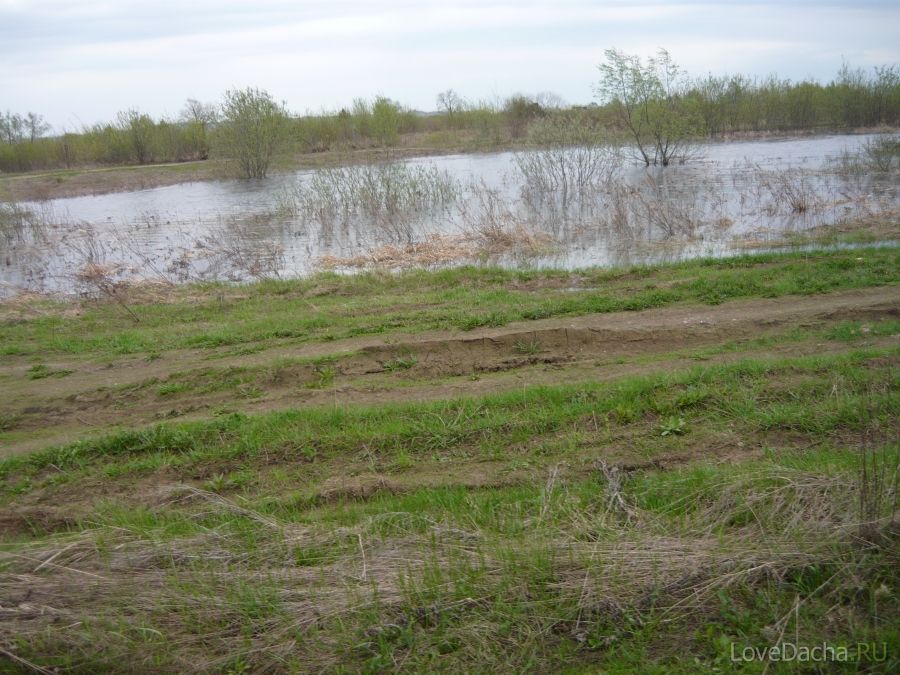 Паводок на Оке в Нижегородской области Паводок на Оке в Нижегородской области