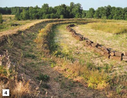 permakulturnyj-ogorod-rezultat-ekoposelenij