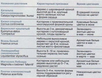 samye-krasivye-rasteniya-v-sadu