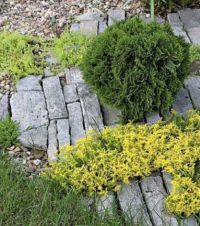 sekrety-landshaftnogo-dizajna