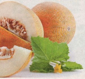 uhod-za-seyancami