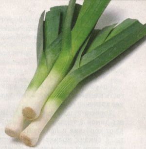 uhod-za-seyancami