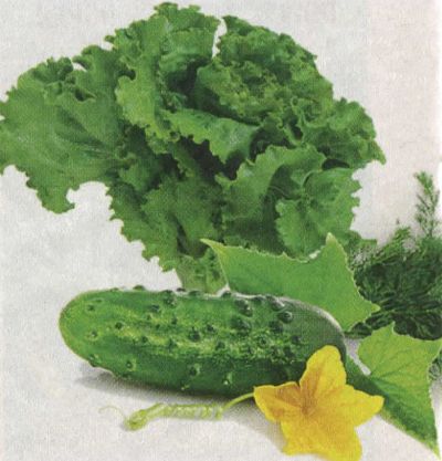 uhod-za-seyancami