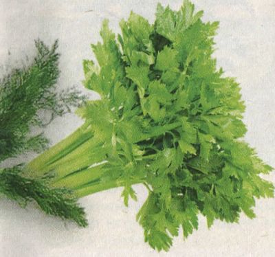 uhod-za-seyancami