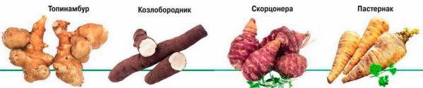 Хотите собирать на своем участке овощи до самого снега? Посадите многолетние и двулетние растения: топинамбур, козлобородник, скорцонеру, пастернак, морковь. Хотите собирать на своем участке овощи до самого снега? Посадите многолетние и двулетние растения: топинамбур, козлобородник, скорцонеру, пастернак, морковь.