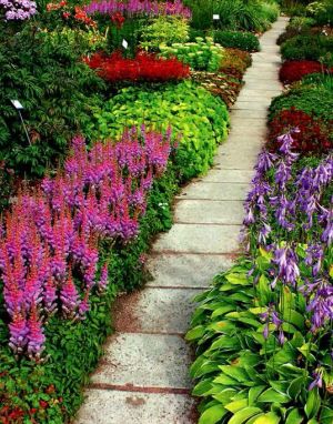 velikolepnaya-hosta