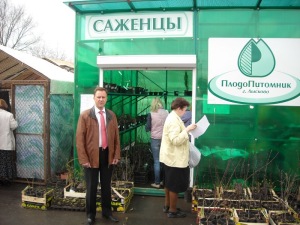 Озеленение пришкольной территории