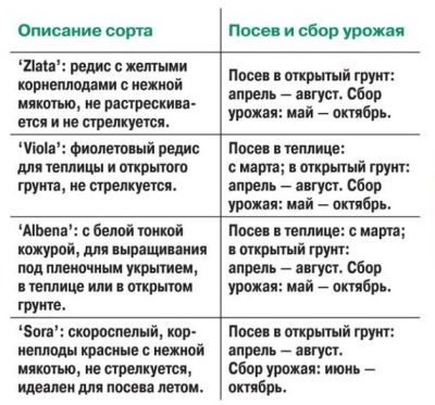 yarkij-redis yarkij-redis