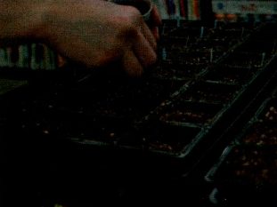zalog-uspeha