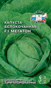 Сорт капусты 