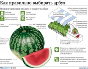 Как выбрать арбуз?