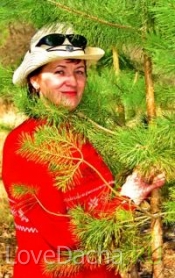Хвойники - очарование русского леса