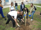 «Гамми» и областное Законодательное Собрание поучаствовали в озеленении пришкольной территории