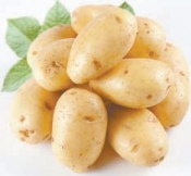 Повышение урожая картофеля из-за глобального потепления