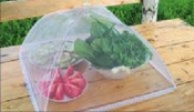 Спасение от мух Спасение от мух