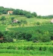 Венгрия