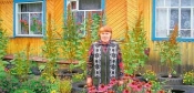 Огород и цветники Огород и цветники