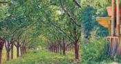 Подкормки в августе
