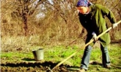 Работы в саду в мае-июне