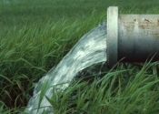 Техническая вода для дачи